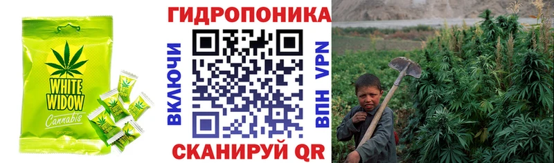 Cannafood марихуана  где найти наркотики  Камень-на-Оби 
