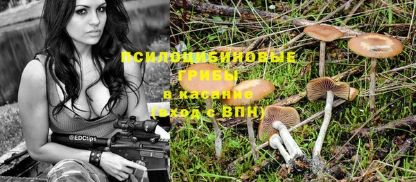 а пвп мука Семёнов
