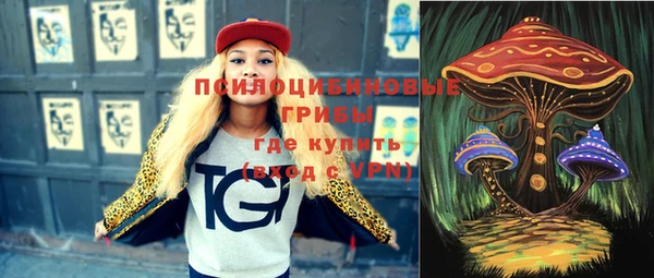 винт Семилуки