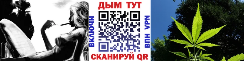 Канабис сатива  купить  сайты  Камень-на-Оби 